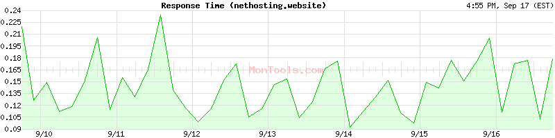nethosting.website Slow or Fast