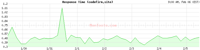 codefirm.site Slow or Fast