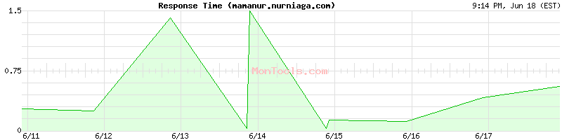 mamanur.nurniaga.com Slow or Fast