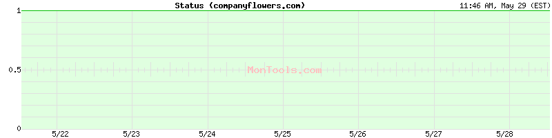 companyflowers.com Up or Down