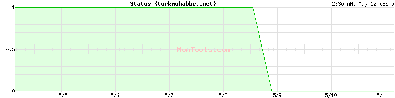 turkmuhabbet.net Up or Down